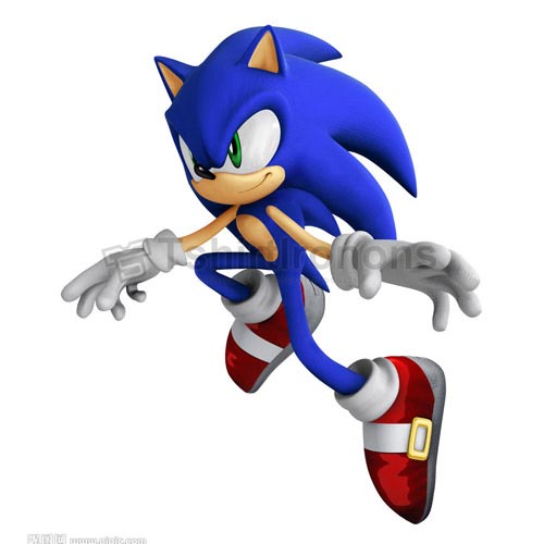 Sonic the Hedgehog T-shirts Iron On Transfers N7981